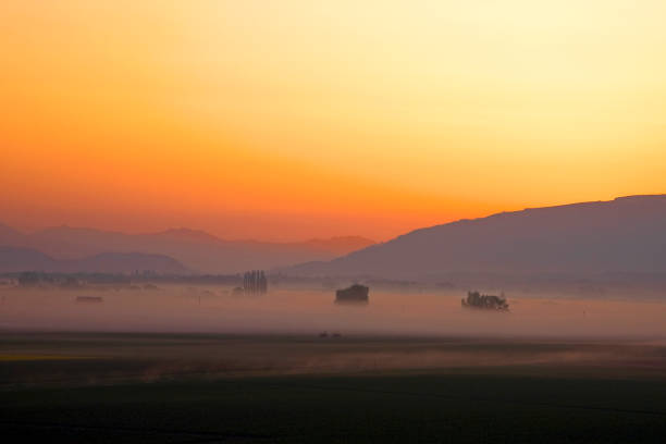 The golden sunrise is trying to break up the fog in the valley.