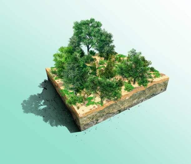 istock 3D cubical beautiful forest land with rainforest trees. 3d rendering of green forest on piece of land. 1401082838