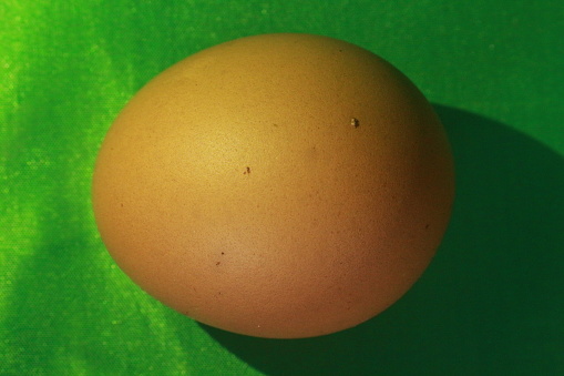 fresh chicken eggs on green background