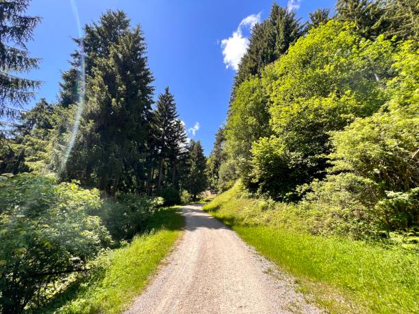 istock Bike path cycle path from Jenbach Inntal to Maurach Eben Achensee 1401091949