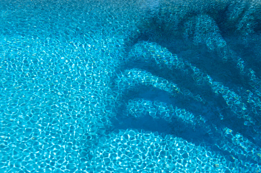 Palm tree shadows over pool