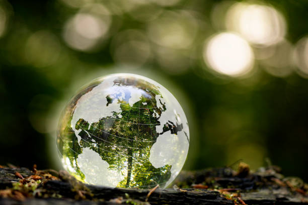 istock Globe in nature with nature inside. An illustration that shows how we should take care of nature 1401099816