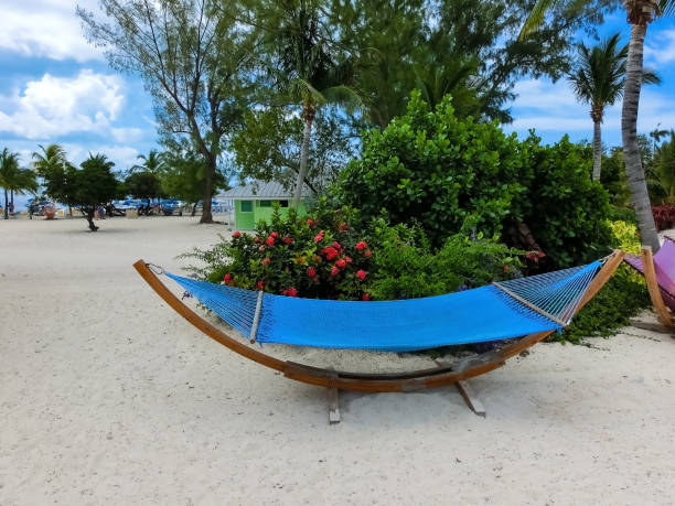 istock A view of Cococay island at Caribbean sea 1401102796