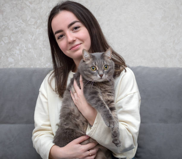 istock girl with a gray domestic cat 1401105877