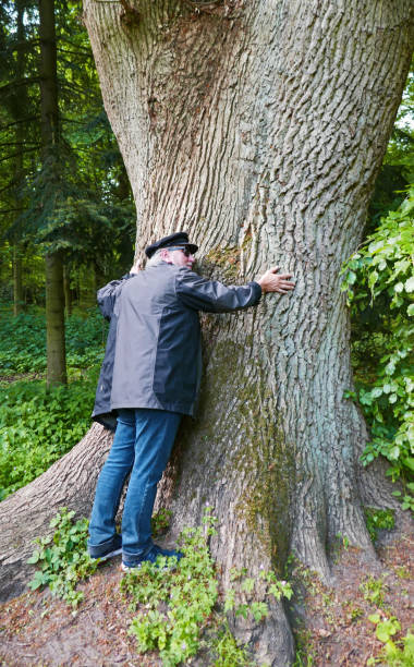 istock Senior man hugging a giant oak tree 1401105976