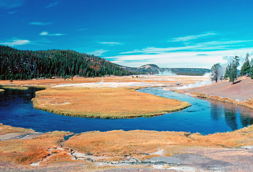 Madison River in Yellowstone National Park, Wyoming