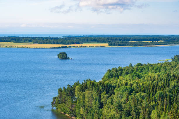 istock High angle view over a woodland at a lake 1401108514