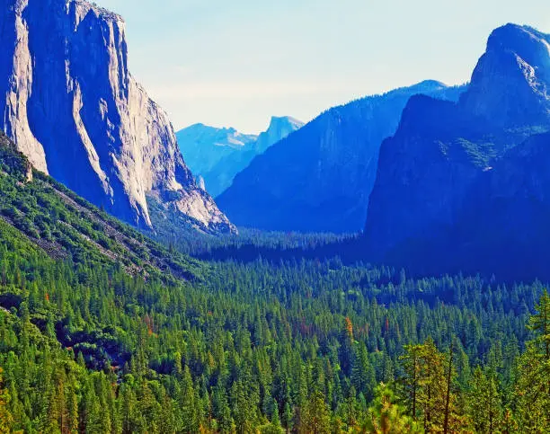 View of Yosemite Valley with El Capitan and Half Dome in California