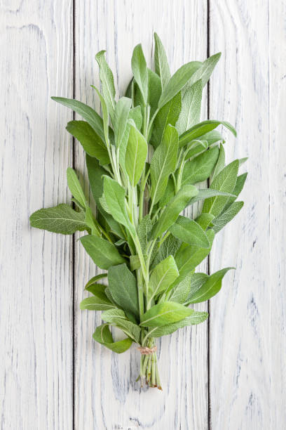 istock Bunch of fresh sage on white wooden background 1401121294