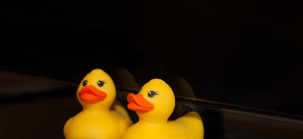 Cute little yellow duck. Rubber duck