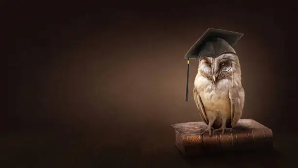 Wise owl on a brown background