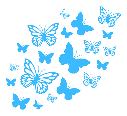 Decorative Slogan with Butterfly Illustration, Fashion and Poster Print Design