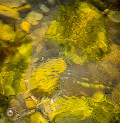 Abstract swirl water wave pattern in yellow green pastel colors.
Copy space provided.
Location: Sveti-Konstantin, Bulgaria