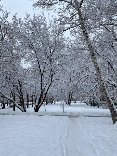 istock winter in city yard at cloudy day after snowfall 1401133242