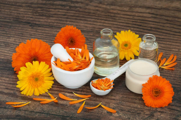 preparación de flores de caléndula para ungüento para el cuidado de la piel - mortar and pestle wood healthcare and medicine jar fotografías e imágenes de stock