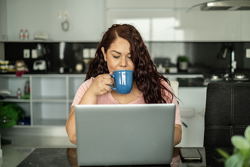 Young woman using the laptop at home