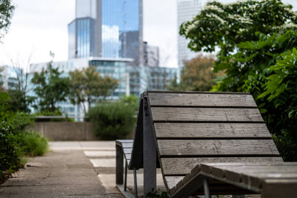 Green city environment intertwines with modern buildings.