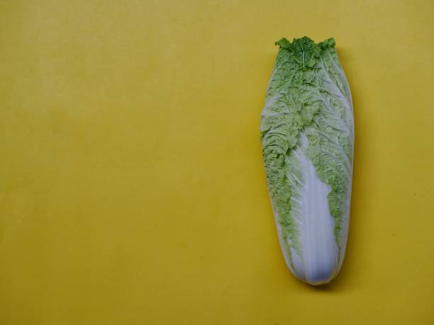 istock Brassica rapa know as Chinese cabbage or Napa cabbage 1401137590