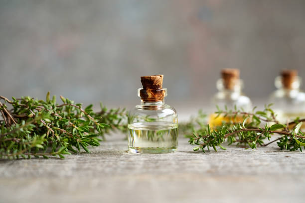 istock A bottle of thyme essential oil with fresh thyme 1401138008