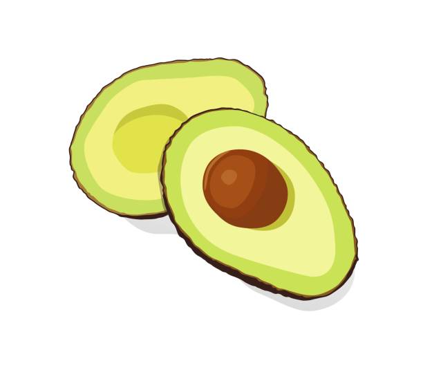 avocado in zwei hälften geschnitten auf weißem hintergrund illustration stock - guacamole avocado cutting white background stock-grafiken, -clipart, -cartoons und -symbole