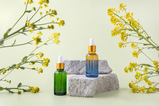 bottles with an essential oil pipette on a stone podium and rapeseed flowers on a light green background