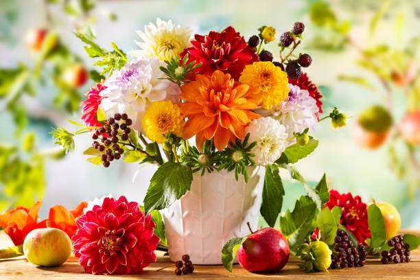 herbststillleben mit gartenblumen. schönes herbstliches bouquet in vase, äpfel und beeren auf holztisch. bunte dahlie und chrysantheme. - blumenschmuck stock-fotos und bilder