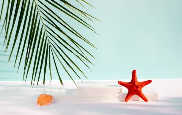 esposizione moderna del prodotto su sfondo blu con podio del prodotto, stelle marine, conchiglie e foglie di palma tropicale. adatto per la visualizzazione del prodotto e il concetto di business. - starfish beach white shell foto e immagini stock