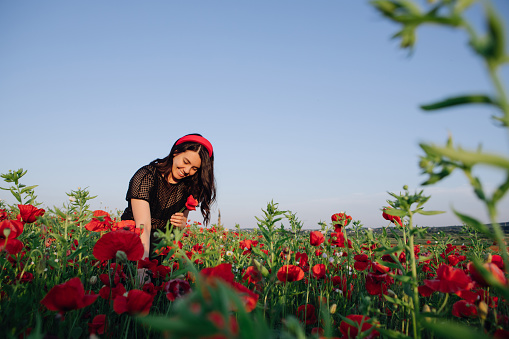 beautiful woman in black dress on sunset at the poppies flowers field