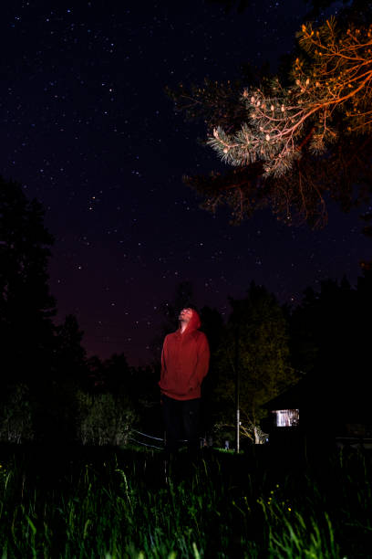 man looking at the stars at dusk. man taking a night walk in the forest, looking at the stars. The photograph, which is viewed with a tree branch from the lower angle, was taken with a full frame camera.