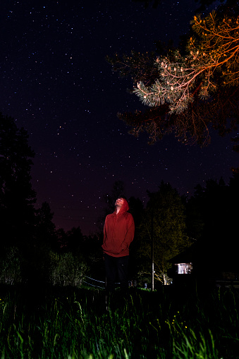 man looking at the stars at dusk. man taking a night walk in the forest, looking at the stars. The photograph, which is viewed with a tree branch from the lower angle, was taken with a full frame camera.
