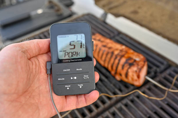grilled pork with cooking thermometer and display in hand over grill