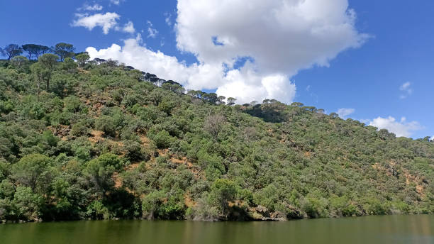 istock Blue sky, cotton clouds, mountains with trees and a lake. 1401151085