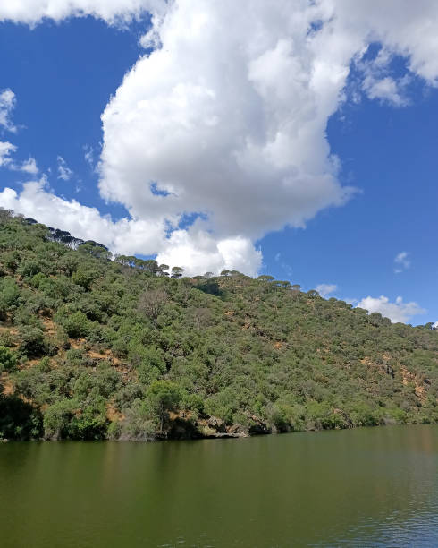 istock Blue sky, cotton clouds, mountains with trees and a lake. 1401151091