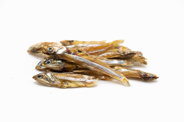 istock Selective focused on small sun dried fishes Tiny Fish as food ingredient, rich natural source of calcium nutrition 1401152669