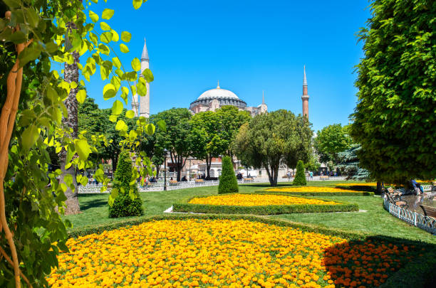 istock Mosque from park in Istanbul 1401154271