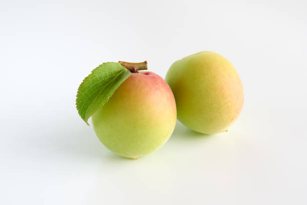 Japanese apricot fruit on a white background