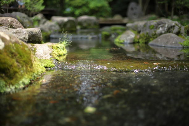 Washbasin set in Japanese garden in Kanazawa, Japan