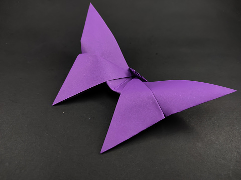 Purple paper butterfly isolated on black background, Not Focus