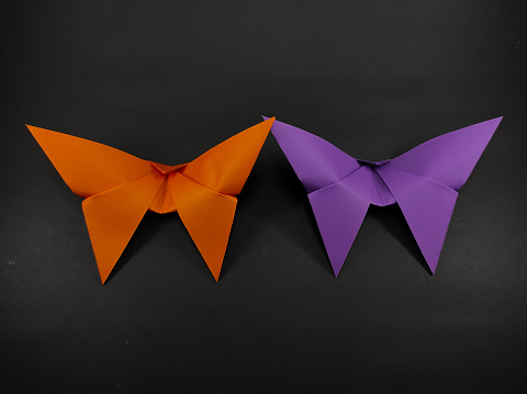 Two colored origami butterfly shaped isolated on black background, Not Focus