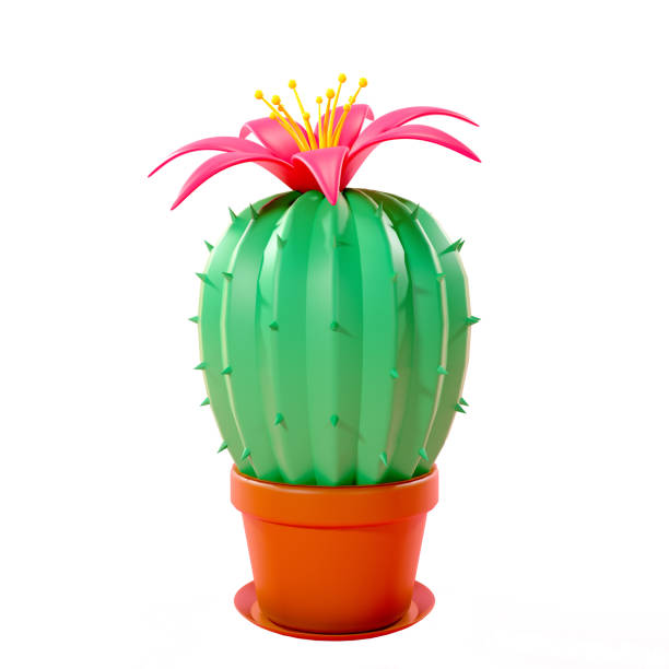 istock 3d render of a cactus flower in a flowerpot isolated on a white background.Digital image illustration. 1401161316