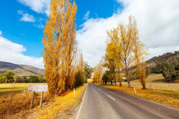 Photo of Gould Memorial Drive in Marysville in Australia