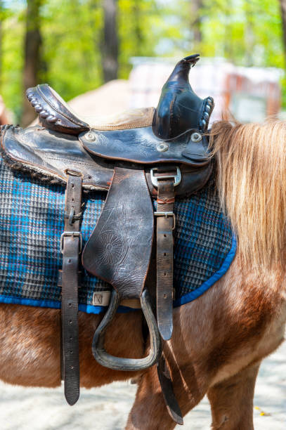 istock Saddle  on a back of a horse 1401165443
