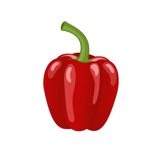 Red paprika pepper, flat style vector illustration isolated on white background Red paprika pepper, flat style vector illustration isolated on white background red bell pepper stock illustrations