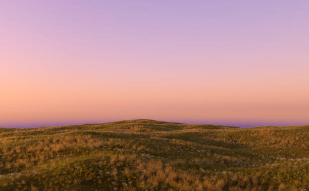 istock Hills with grassland and daisies at sunset. 3D render. 1401168175
