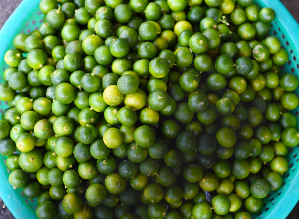 many little lime fruits in vietnamese market vinh hai - lime market vietnam fruit imagens e fotografias de stock