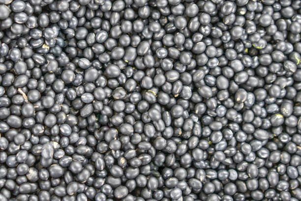 istock Green Heart Black Bean Multigrain 1401173471