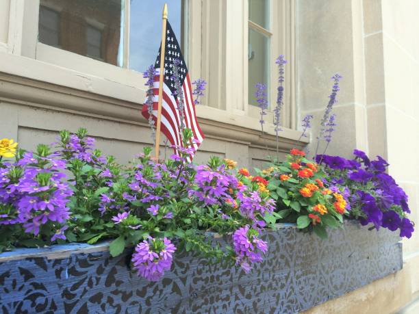 Window Box with multi-colored flowers and a small American Flag, No People, Stock Photo, Virginia, USA. - Part of a Series. Window Flower Box with Purple, Orange, and Yellow Flowers, and a small American Flag. No People, Horizontal Stock Photo, Part of a Series. USA. Mid-Atlantic. loudon stock pictures, royalty-free photos & images