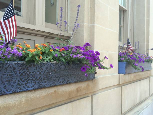 Window Box with multi-colored flowers and a small American Flag, No People, Stock Photo, Virginia, USA. - Part of a Series. Window Flower Box with Purple, Orange, and Yellow Flowers, and a small American Flag. No People, Horizontal Stock Photo, Part of a Series. USA. Mid-Atlantic. loudon stock pictures, royalty-free photos & images