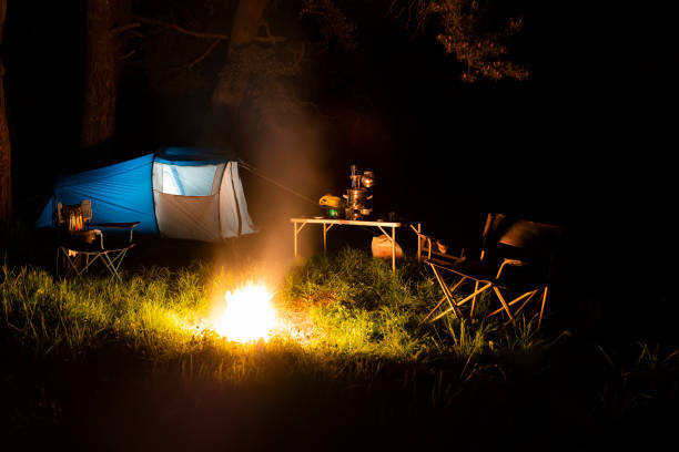 istock Camping landscape in the forest at dusk 1401177350