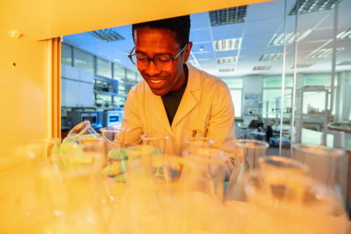 An African American male scientist in a lab coat, wearing eyeglasses, working in a laboratory conducting experiments.